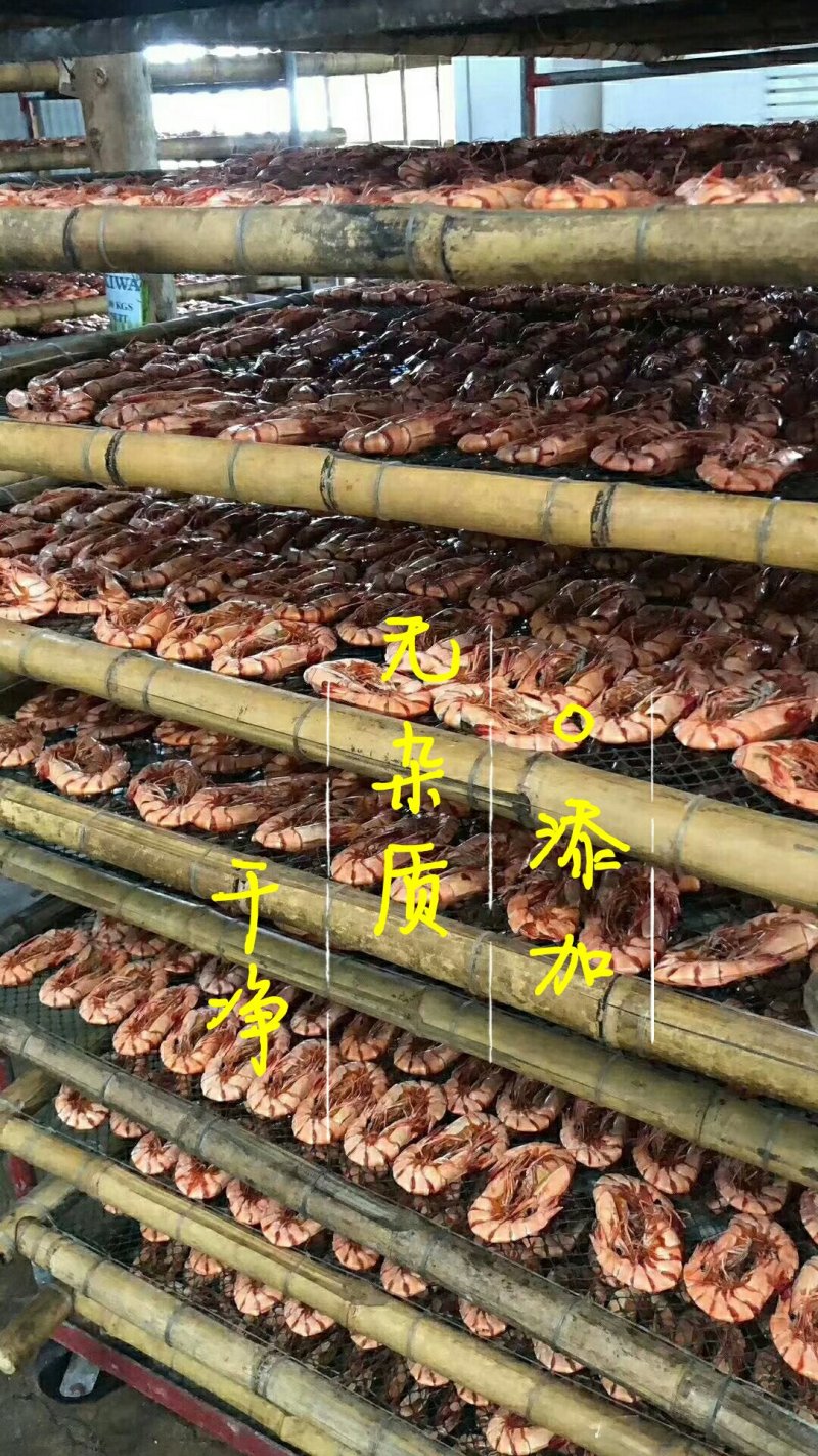 湛江斑节虾干