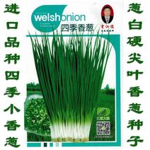 日本引进四季香葱原装袋25克9.9元
