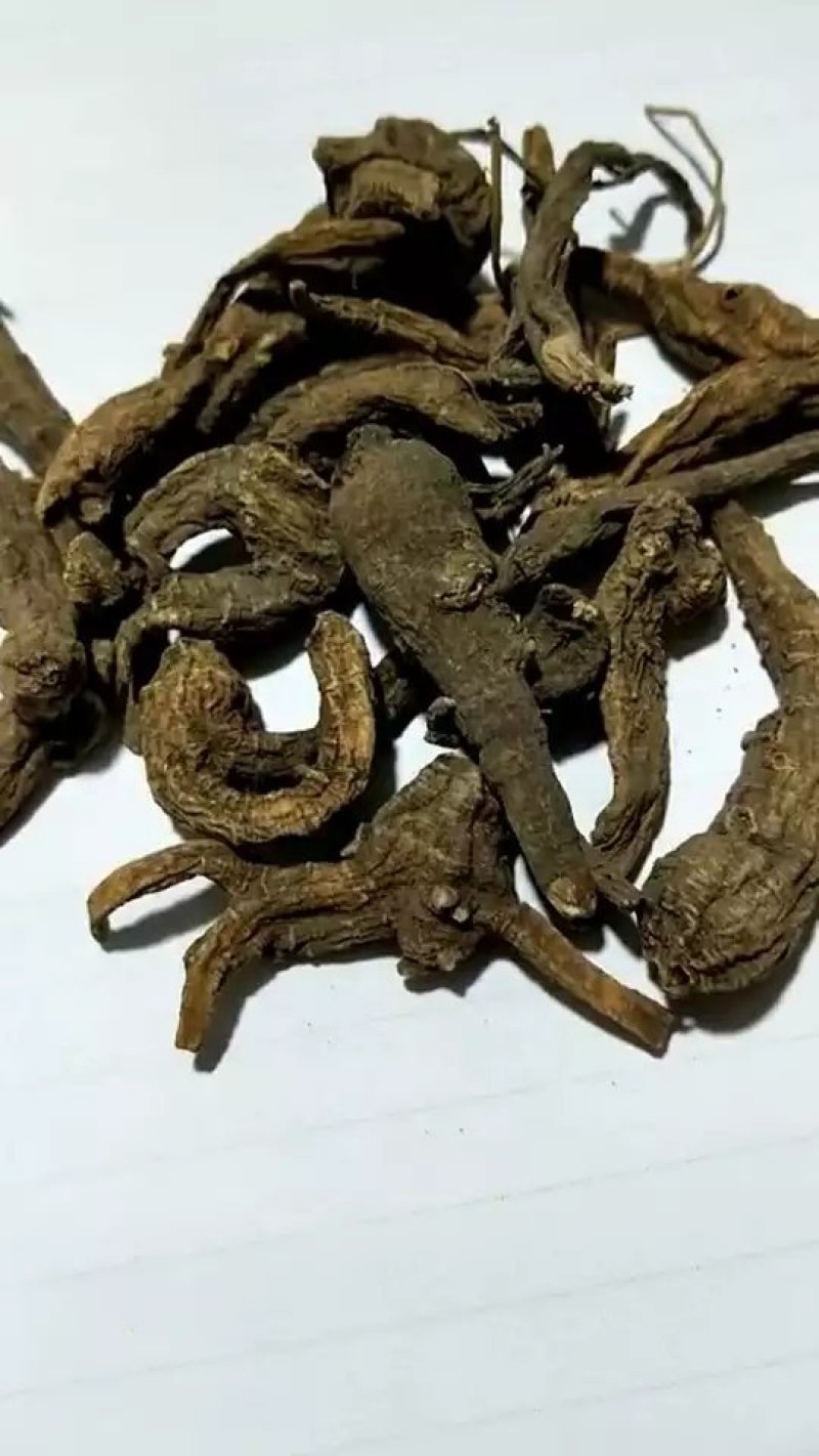 中药材隔山香山白芷