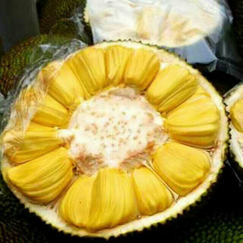 越南菠萝蜜