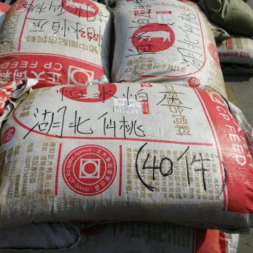 黄鳝饲料—优选100目纯叶艾叶粉
