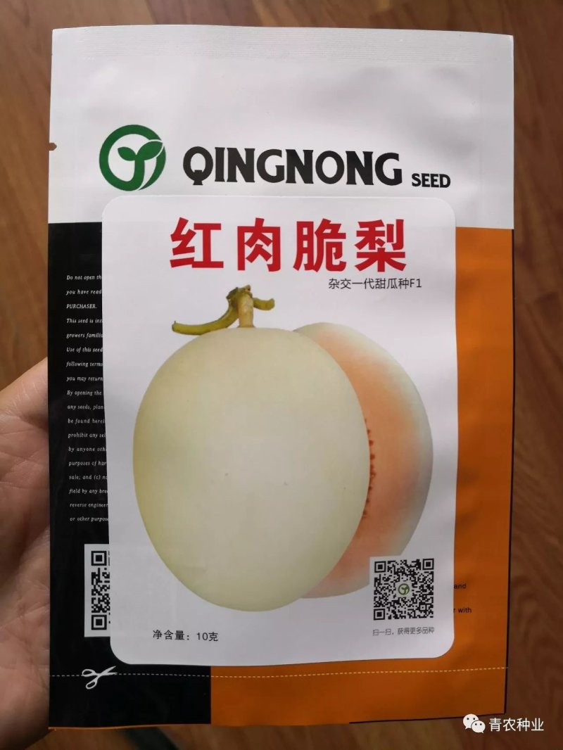 智慧之光红肉脆梨早熟脆甜抗病，可留4茬瓜，肉熟到皮