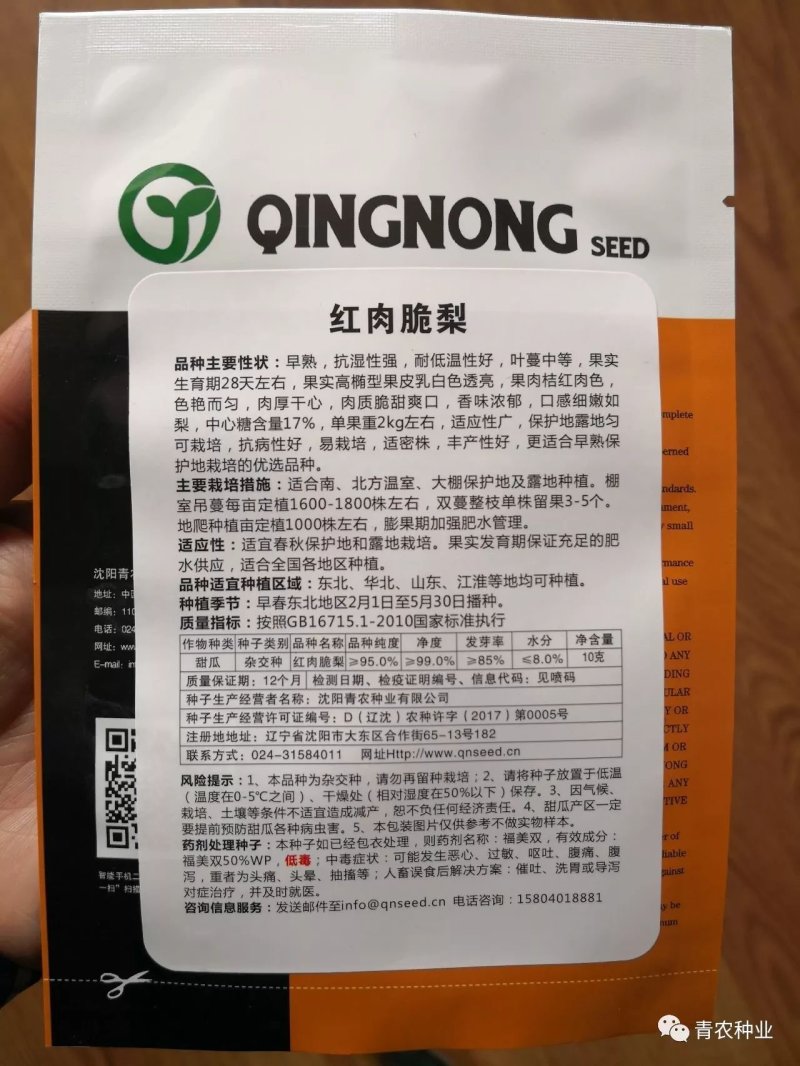 智慧之光红肉脆梨早熟脆甜抗病，可留4茬瓜，肉熟到皮