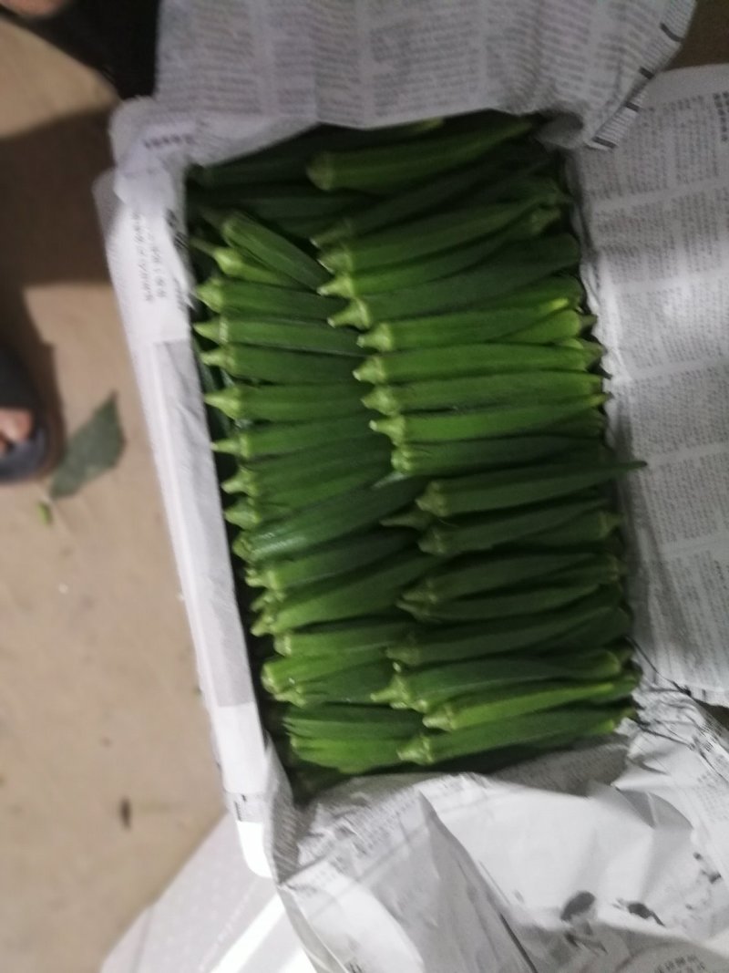 新鲜黄秋葵