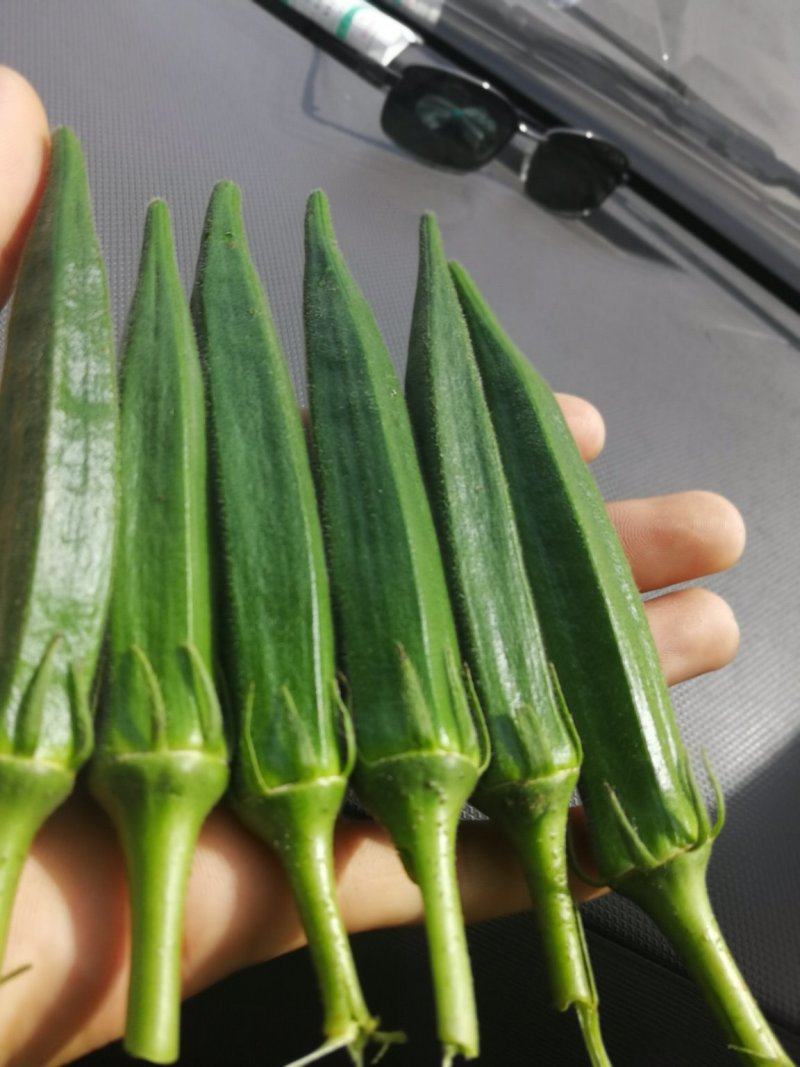 新鲜黄秋葵