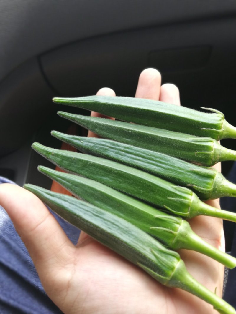 新鲜黄秋葵