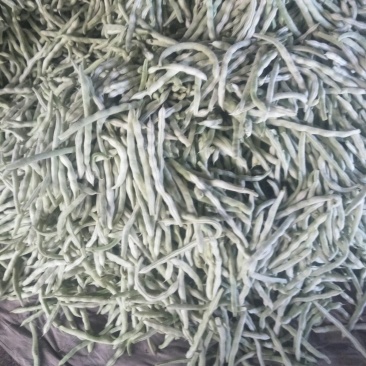 七粒白芸豆，二十公分以上