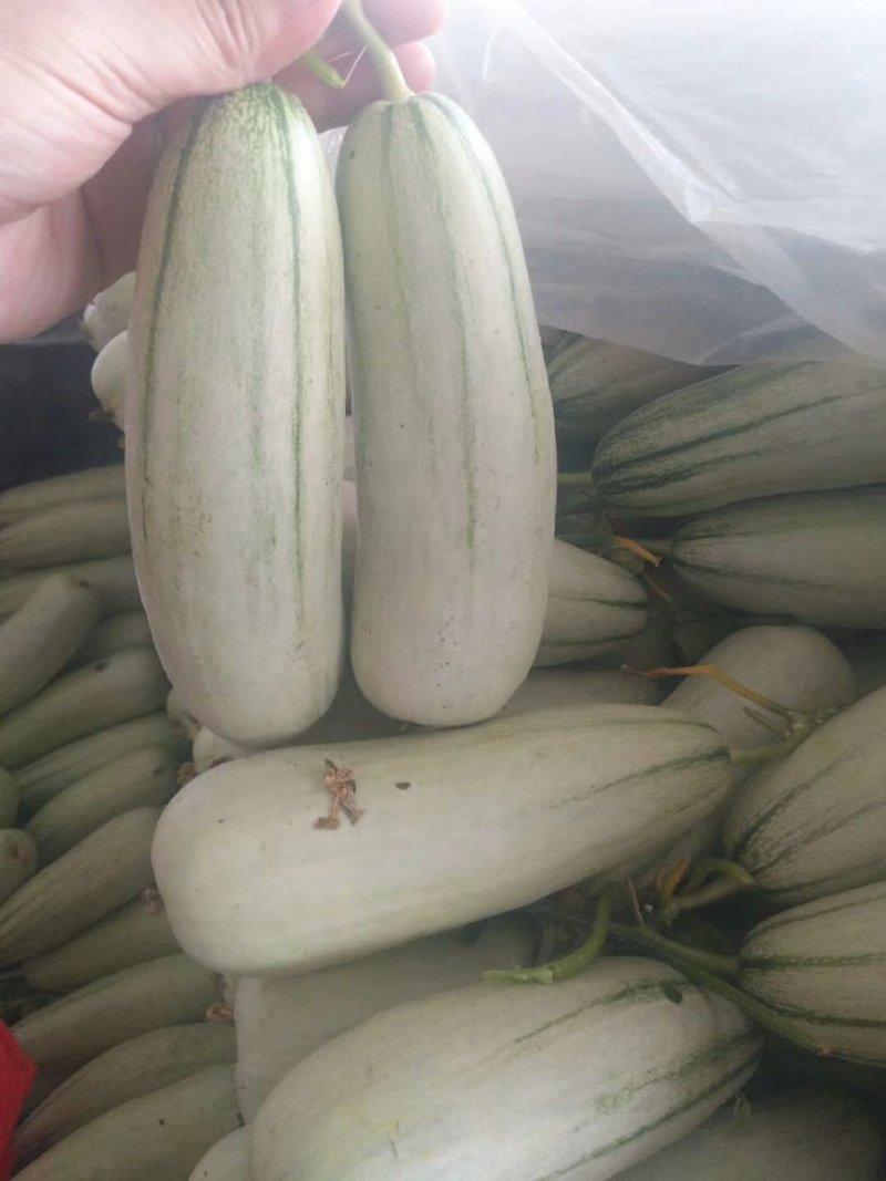 羊角蜜