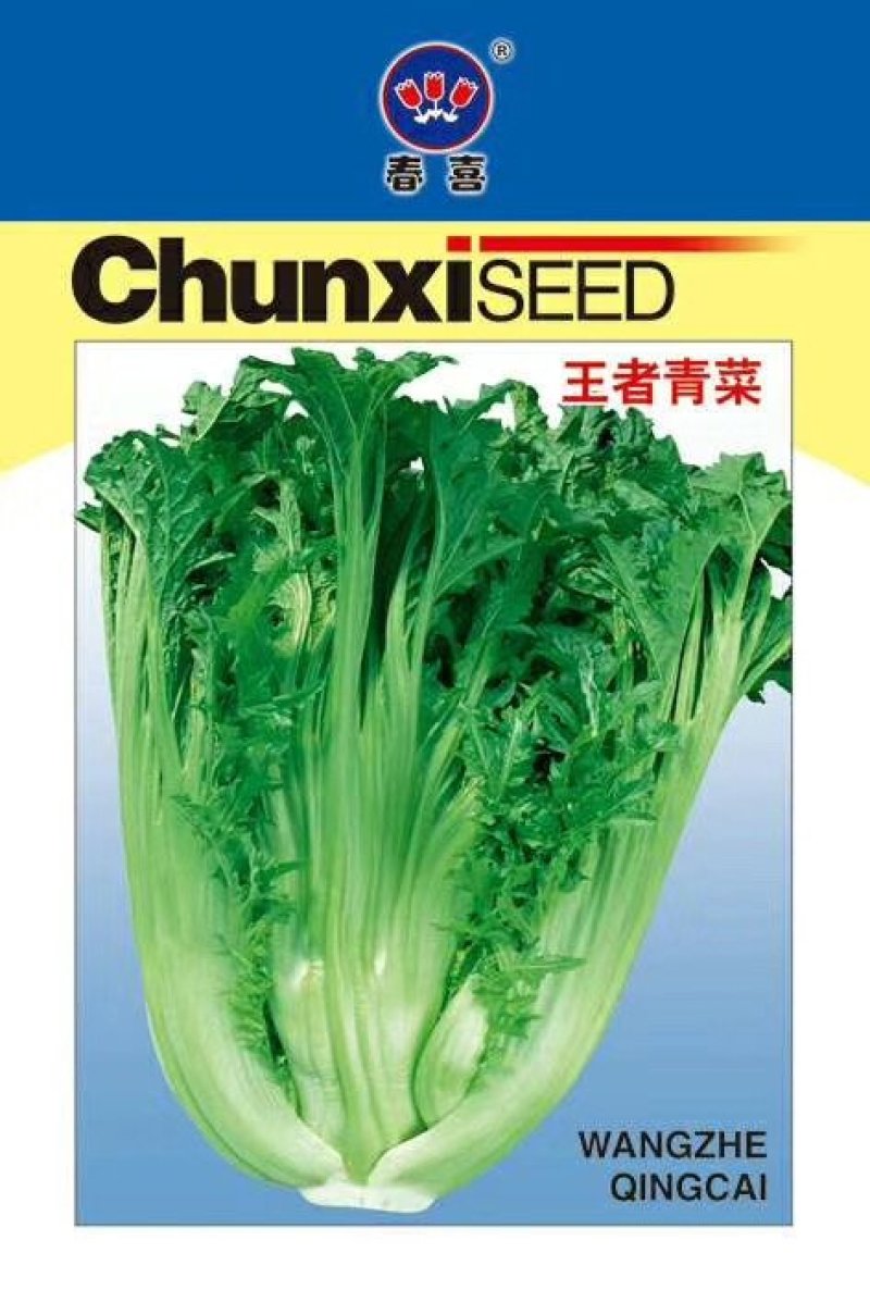 春喜各类蔬菜种子