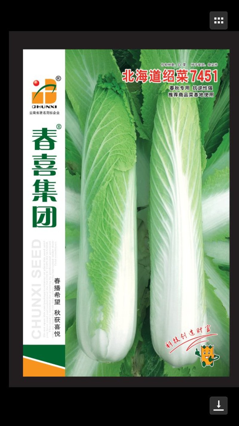 春喜各类蔬菜种子