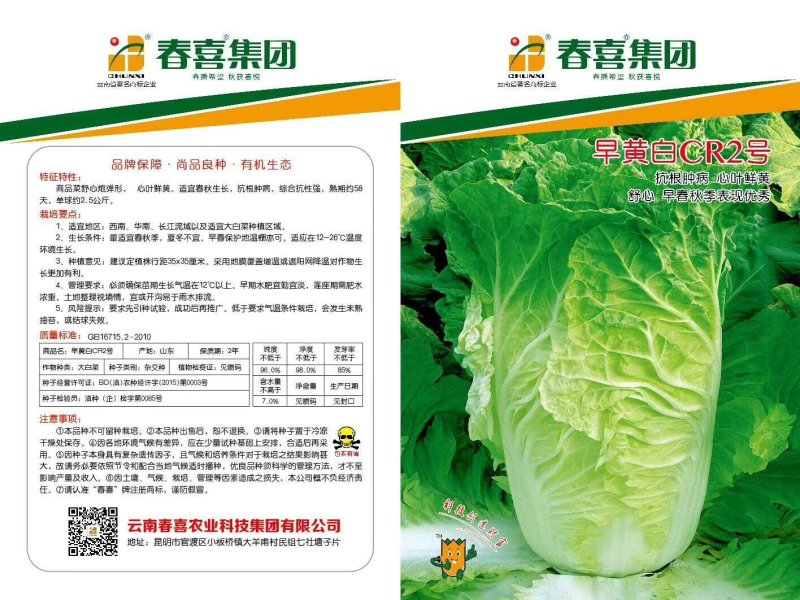 春喜各类蔬菜种子