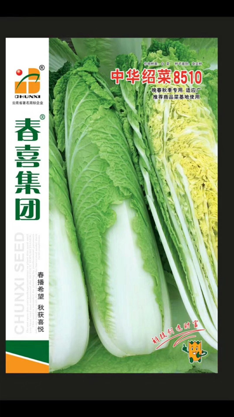 春喜各类蔬菜种子