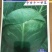 春喜各类蔬菜种子
