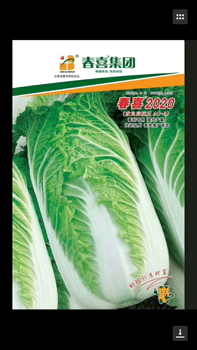 春喜各类蔬菜种子