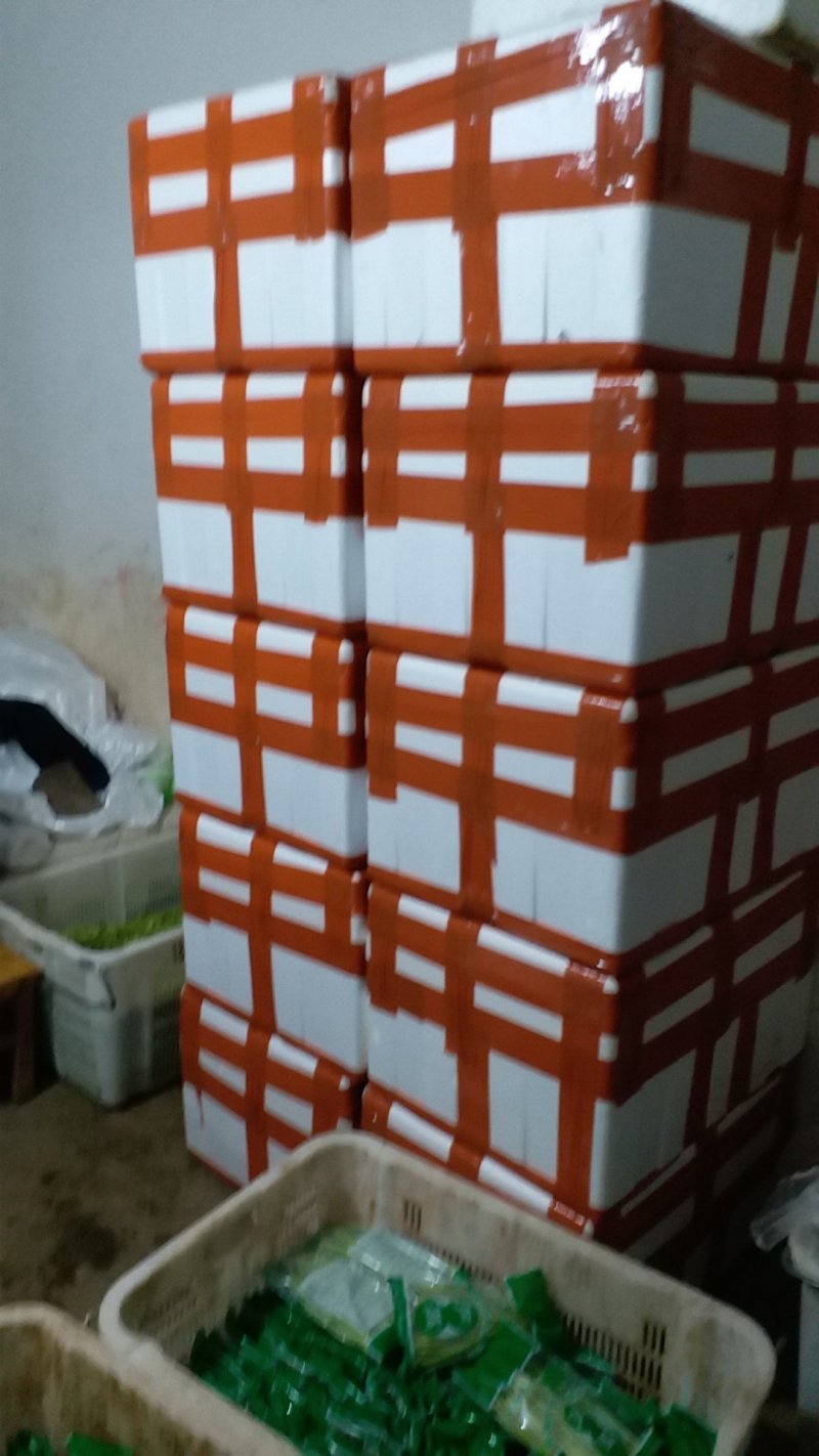 精品芦蒿，基地直销，品质保证，量大从优，全国发货。