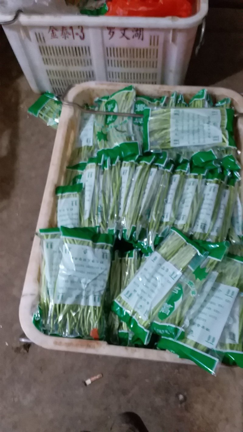 精品芦蒿，基地直销，品质保证，量大从优，全国发货。