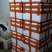 精品芦蒿，基地直销，品质保证，量大从优，全国发货。