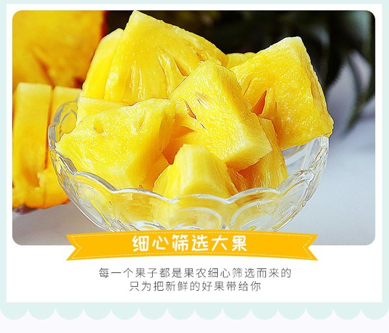 海南菠萝10斤包邮凤梨手撕新鲜水果批发