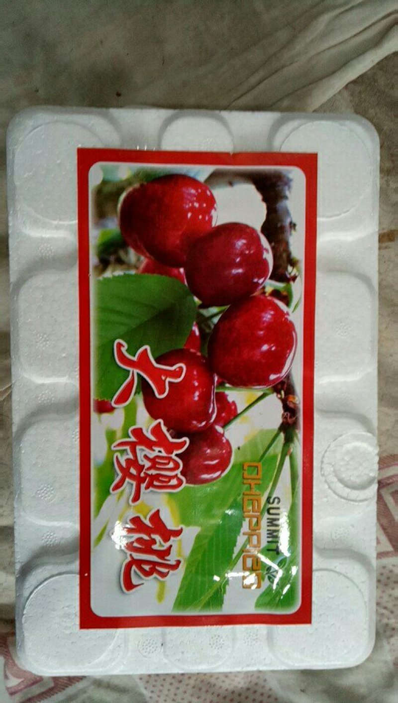 樱桃