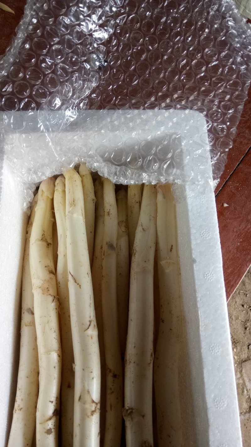白芦笋3斤一件包邮，特级，对接电商，一件代发，