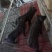 黑猪10~15公斤