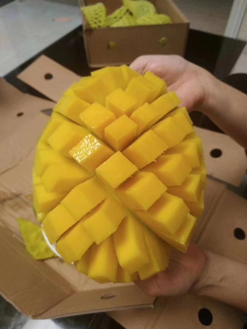 大青芒果10斤装包邮！当季新鲜水果支持一件代发
