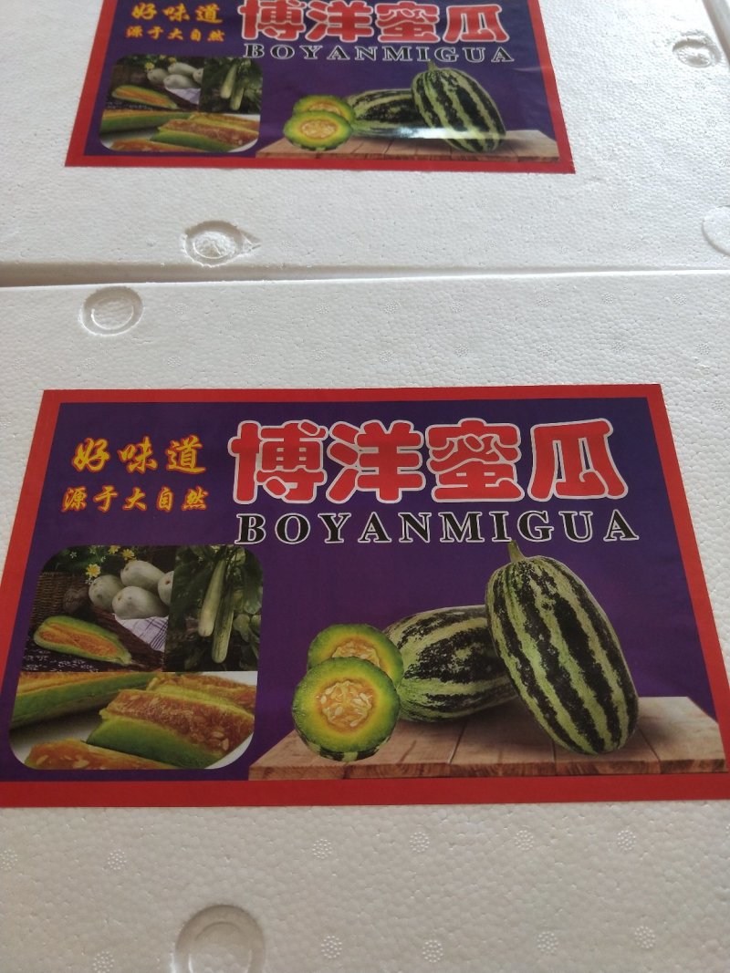 博洋9号/香甜可口/色泽好个头匀/电商一件代发/超市专供