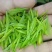 2019年新茶安吉，明前茶