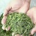 2019年新茶安吉，明前茶