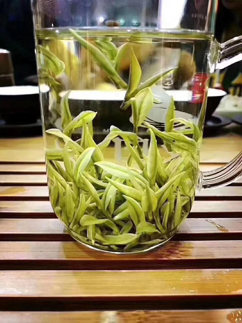 2019年新茶安吉，明前茶
