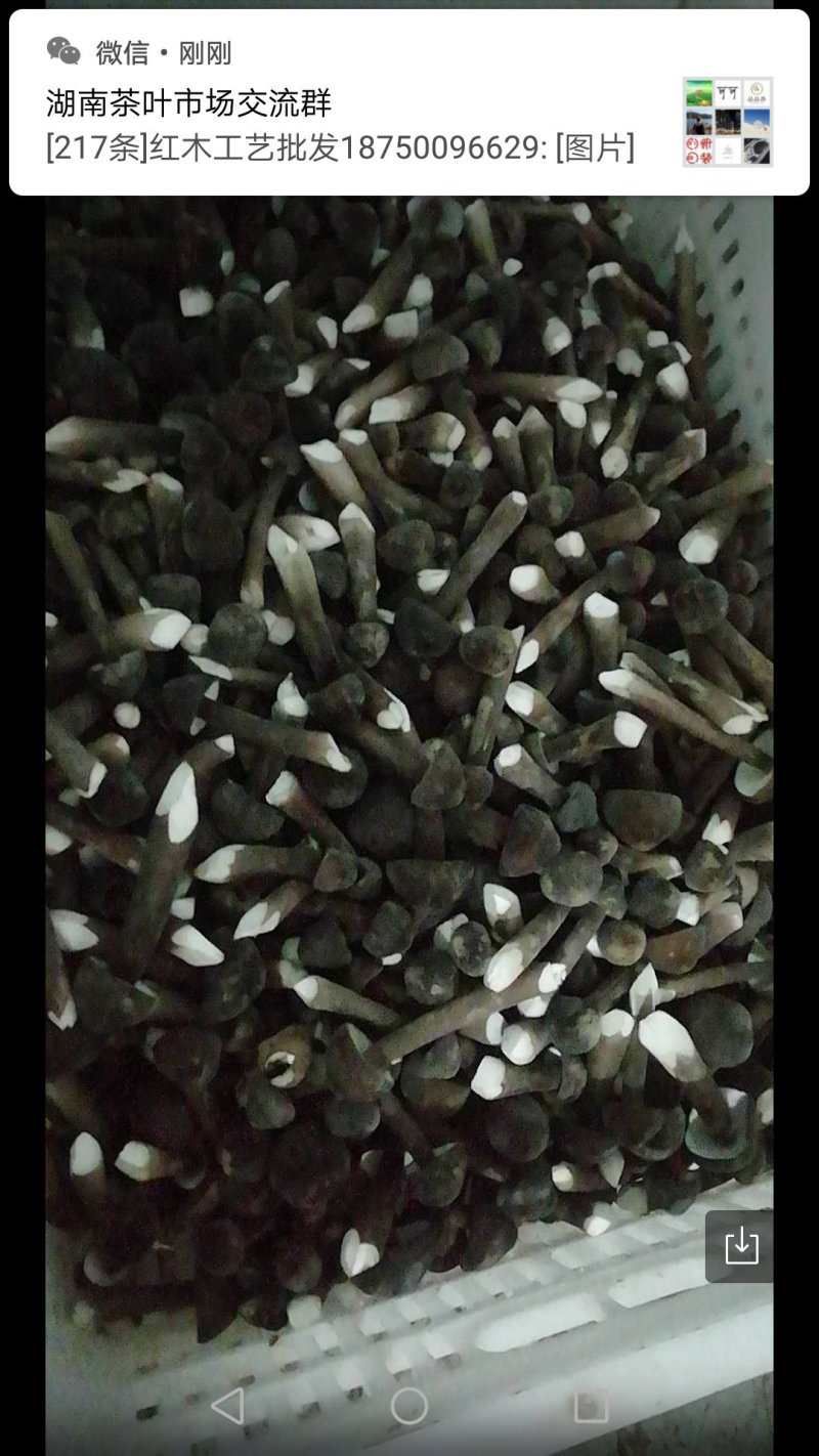 鸡枞菌