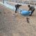 供应养殖大棚@蔬菜大棚@温室大棚