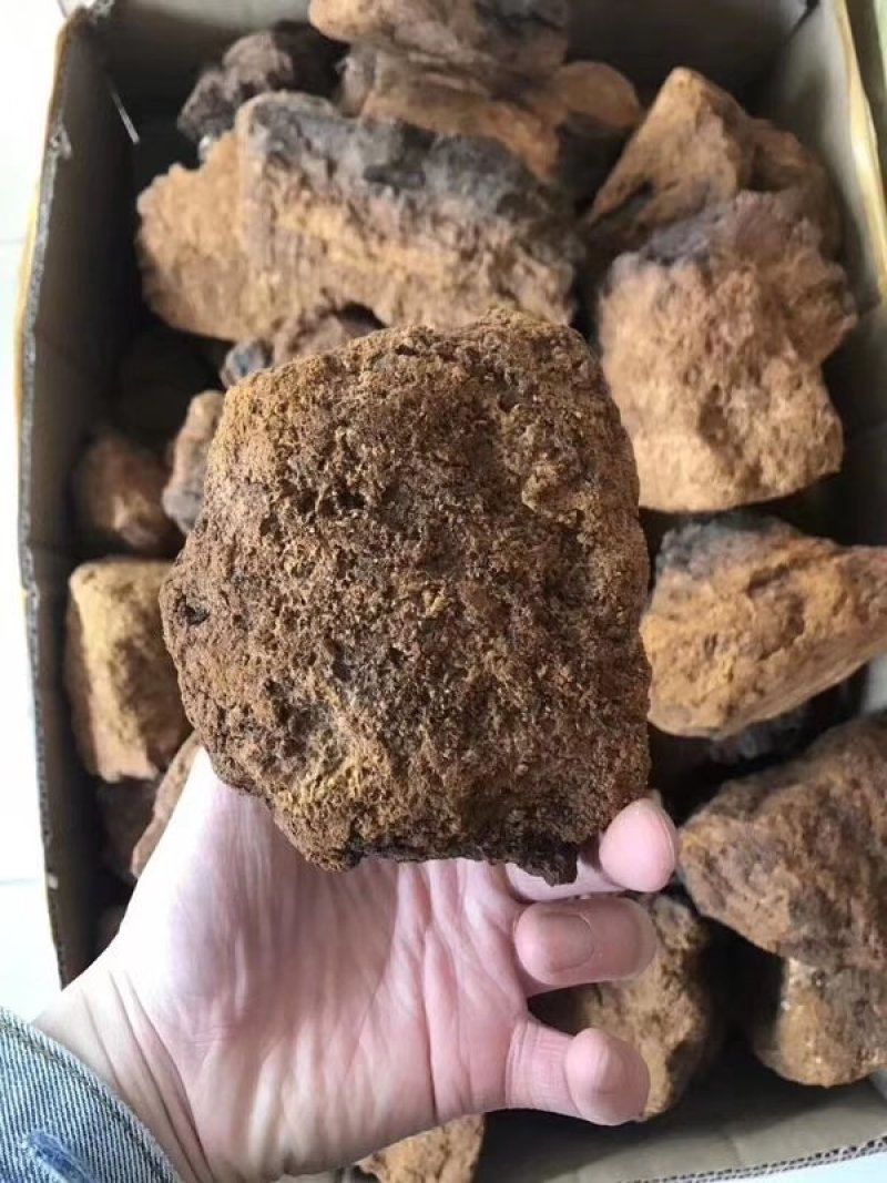 【荐】俄罗斯进口桦树茸长白山白桦茸桦树孔菌包邮