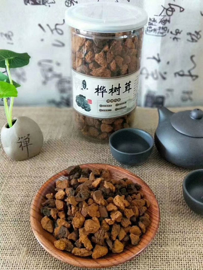 【荐】俄罗斯进口桦树茸长白山白桦茸桦树孔菌包邮