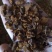 【荐】俄罗斯进口桦树茸长白山白桦茸桦树孔菌包邮