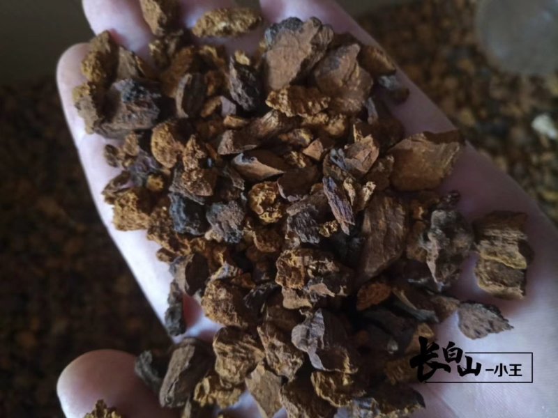 【荐】俄罗斯进口桦树茸长白山白桦茸桦树孔菌包邮