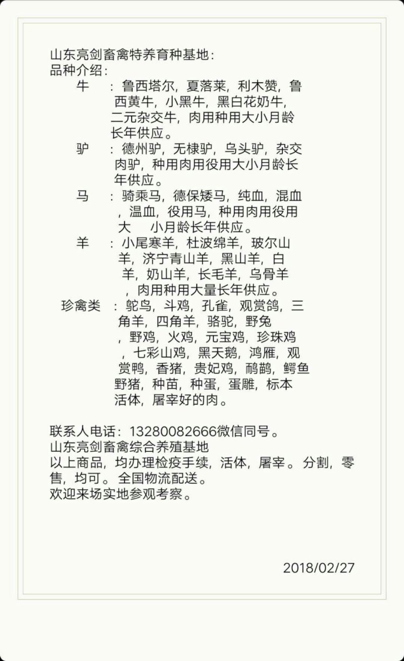 斗鸡，长年供应各类斗鸡