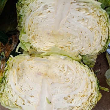 扁包菜