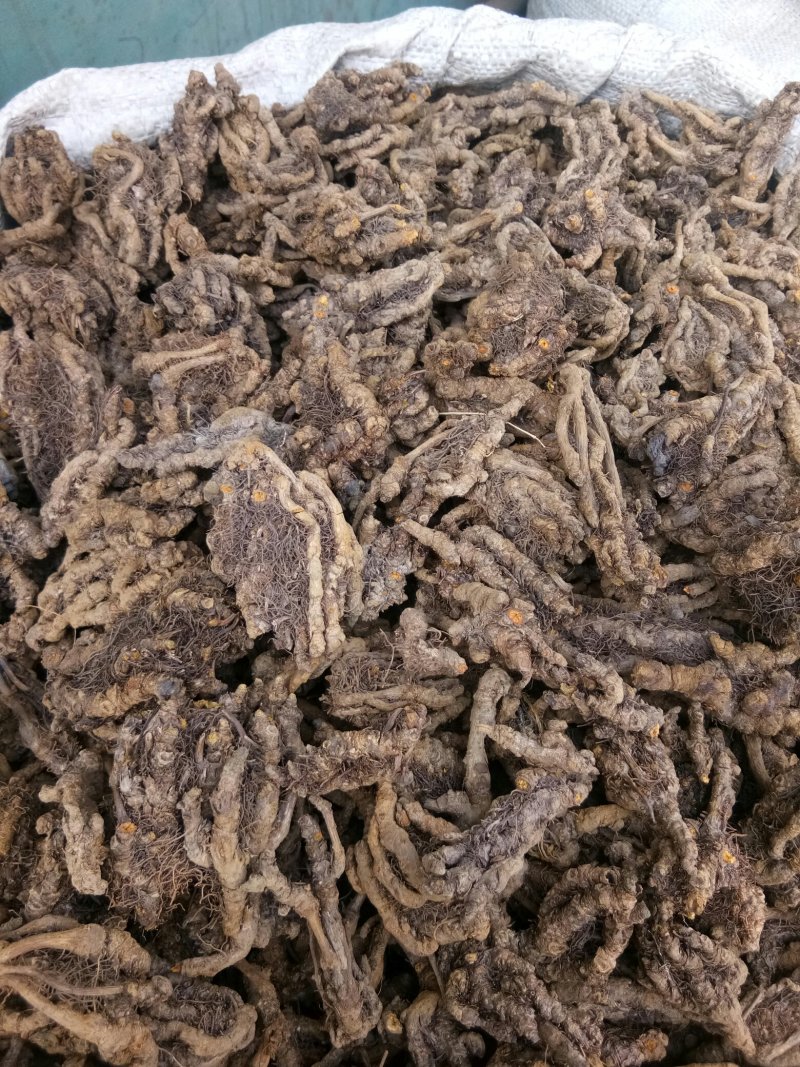 黄连四川无硫鸡爪~单枝~黄连片农产品