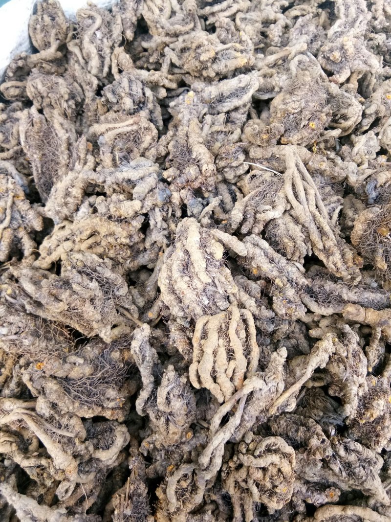 黄连四川无硫鸡爪~单枝~黄连片农产品
