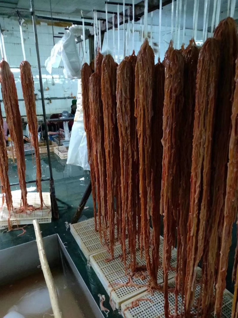 鲜鸭肠，每天都有现货，量大