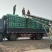其他牧草—全叶艾叶粉