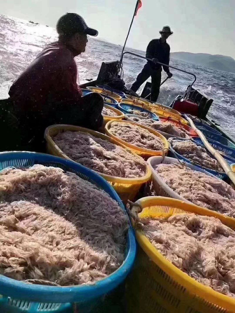 天然虾皮