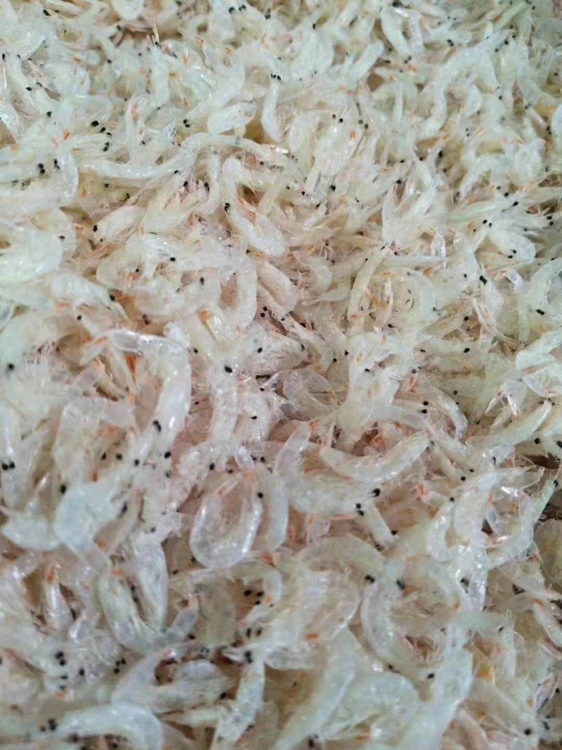 天然虾皮