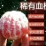 四川血橙，塔罗科血橙，现在已经进入成熟阶段