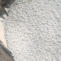 淀粉颗粒，各种淀粉颗粒，