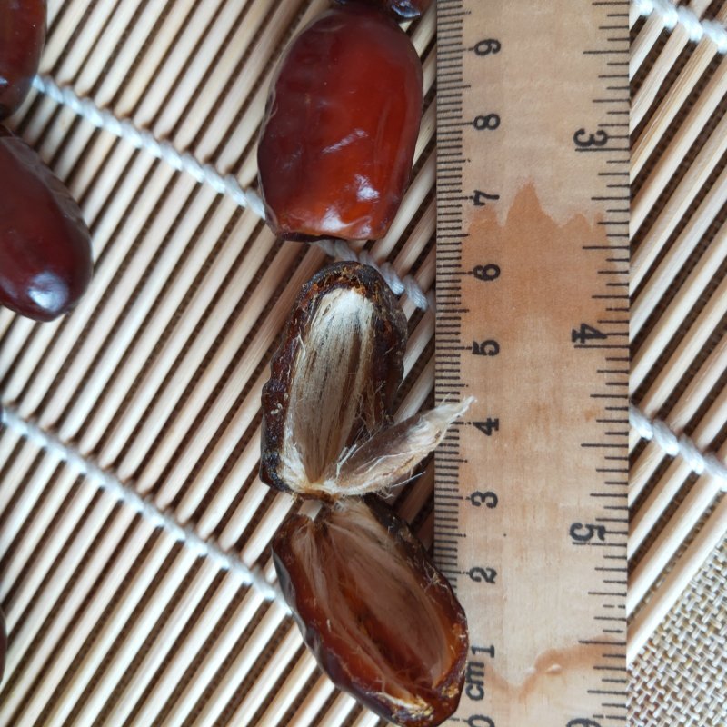 伊朗进口黑椰枣阿联酋小黑椰枣零食香甜软糯