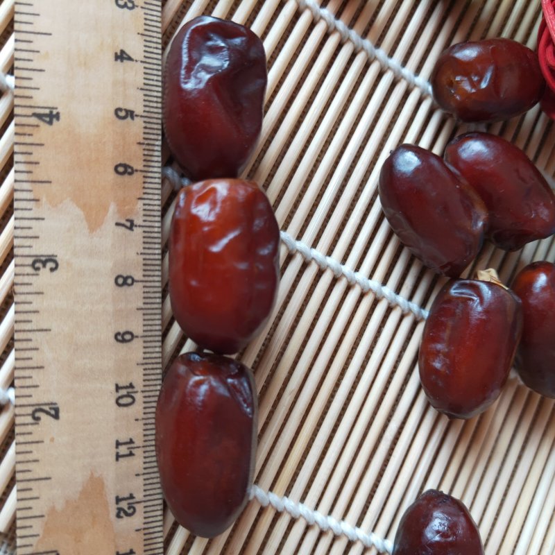 伊朗进口黑椰枣阿联酋小黑椰枣零食香甜软糯