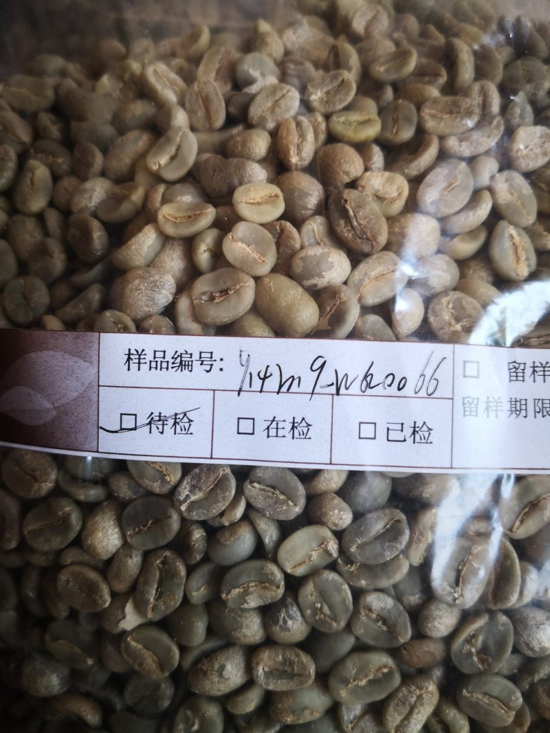 阿拉比卡豆云南小粒咖啡生豆原料可提供产地检测报告
