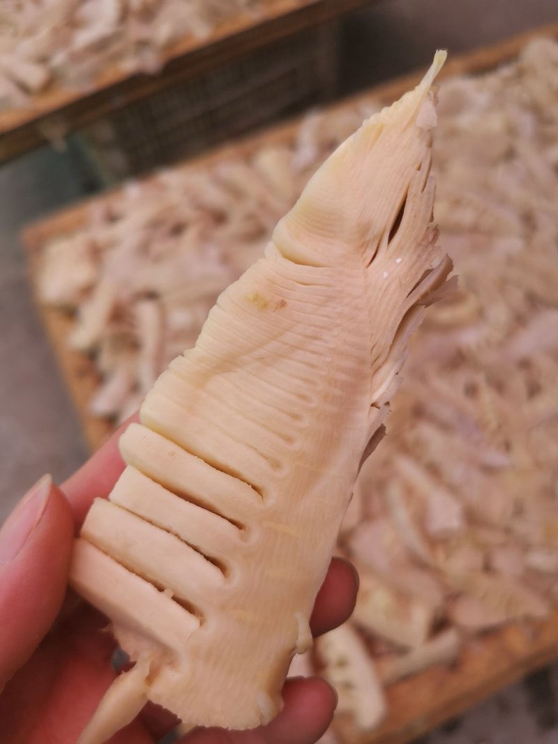 供应酒店食材——福建闽笋干2019年新上市
